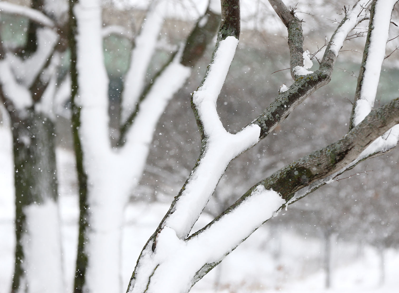 November snow